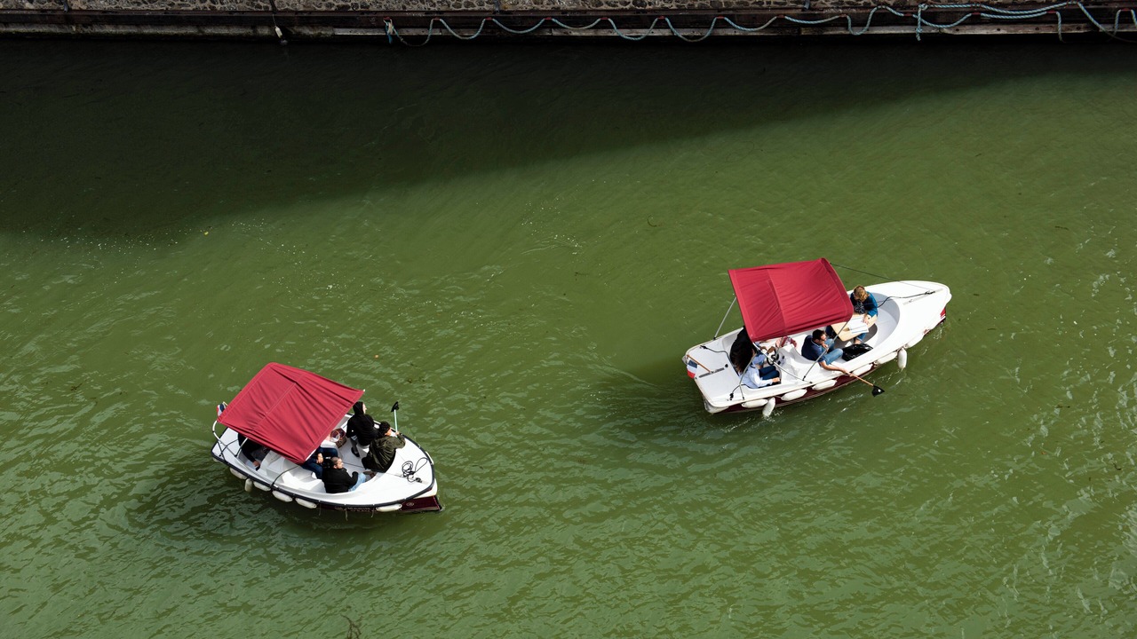 Photo of Others in La Villette