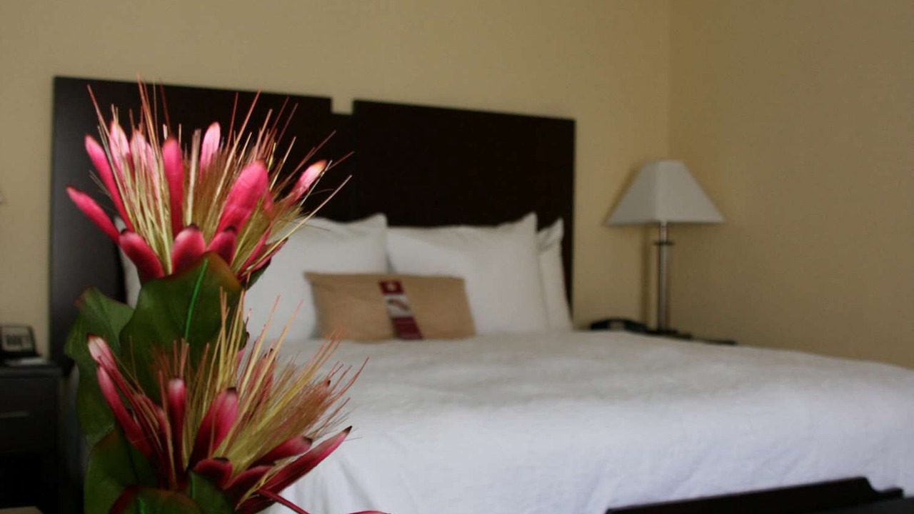 Photo of Bedroom in Orlando