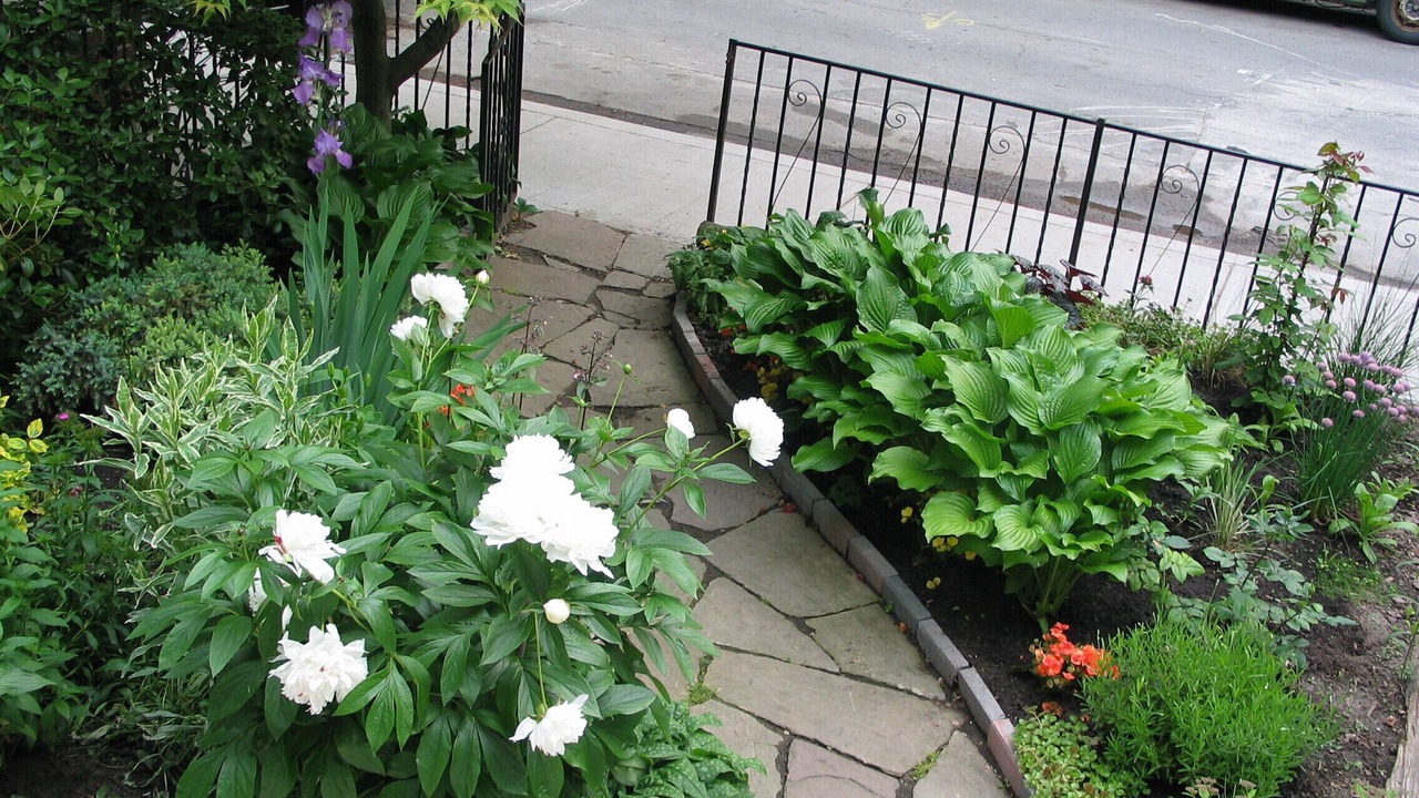 Photo of Outdoor in Cabbagetown South