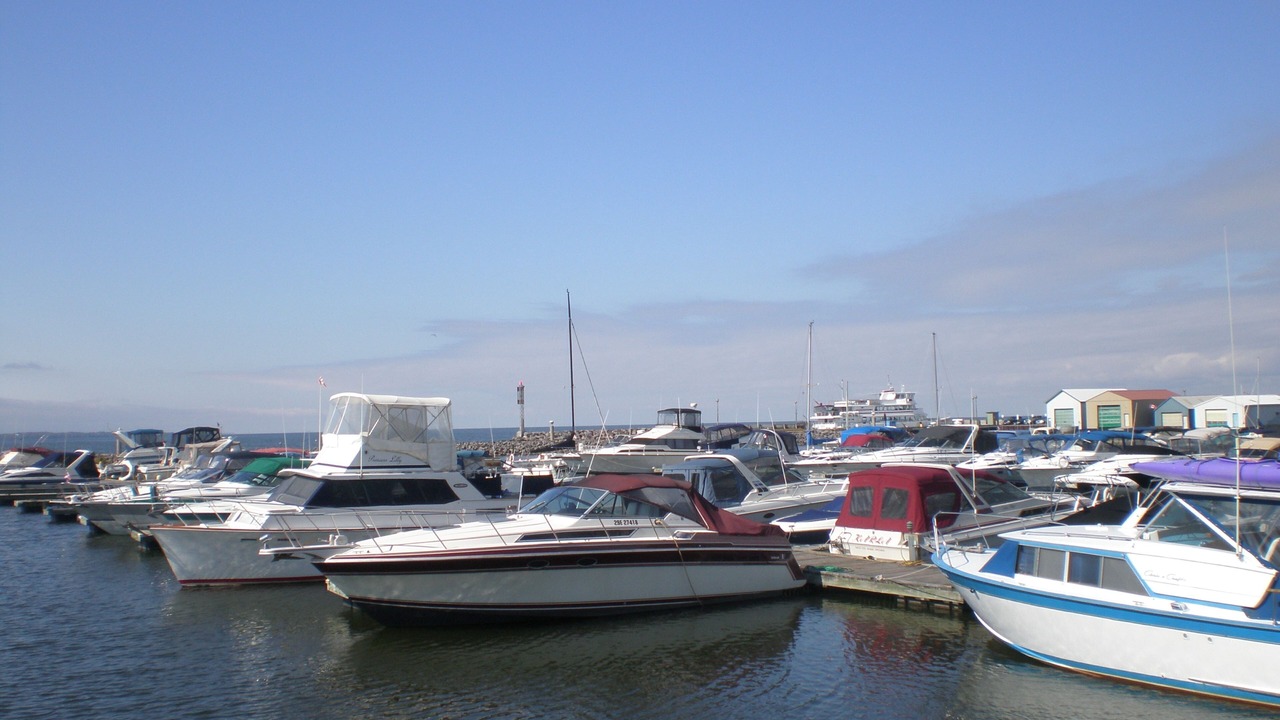 Photo of Others in North Bay