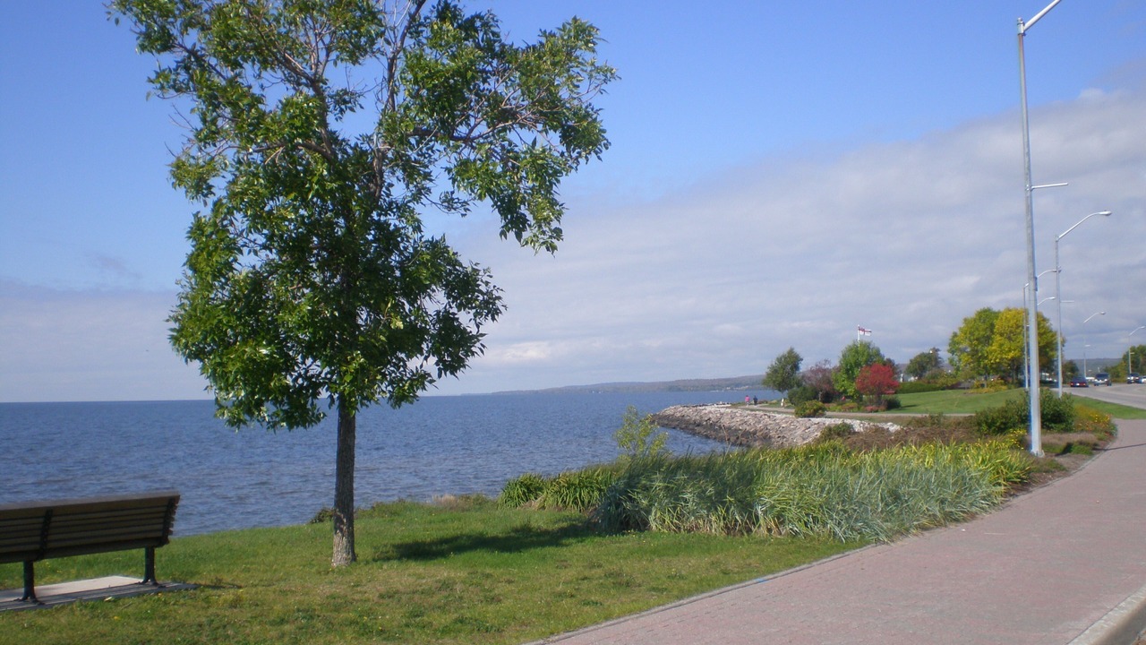 Photo of Others in North Bay
