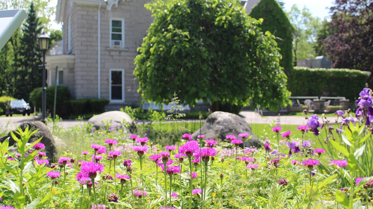Photo of Outdoor in St. Mary's