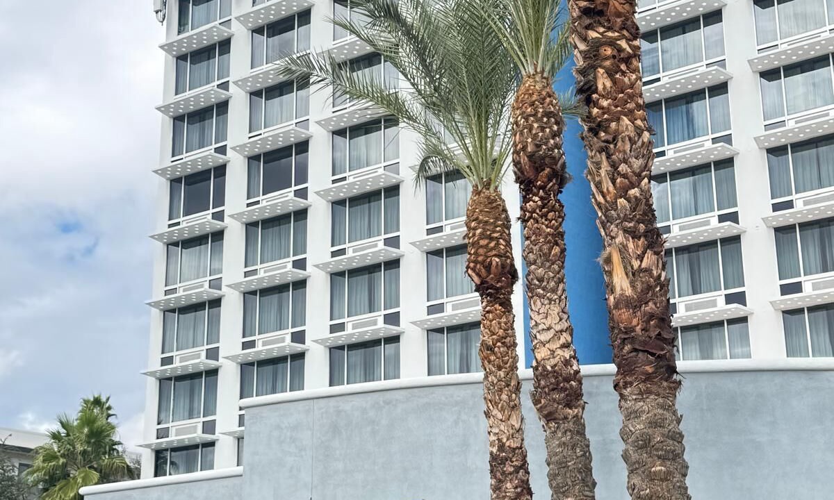Photo of Outdoor in Encanto
