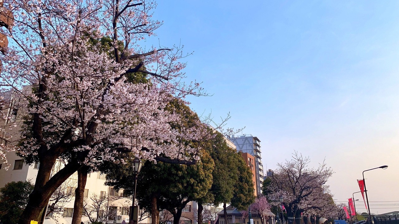 Photo of Others in Kaminarimon