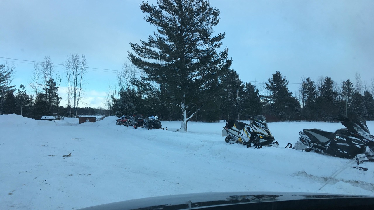 Photo of Others in Wiarton
