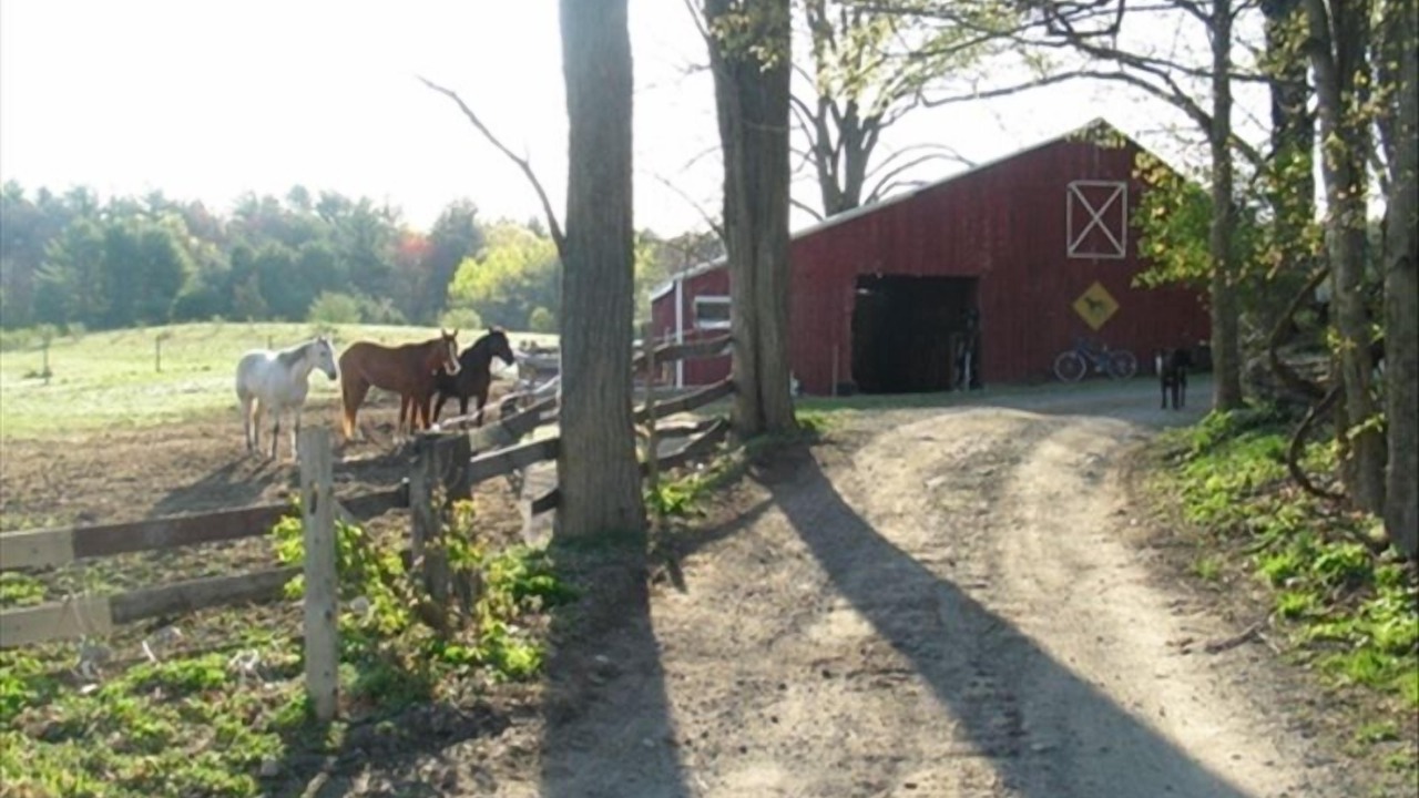 Photo of Outdoor in Accord