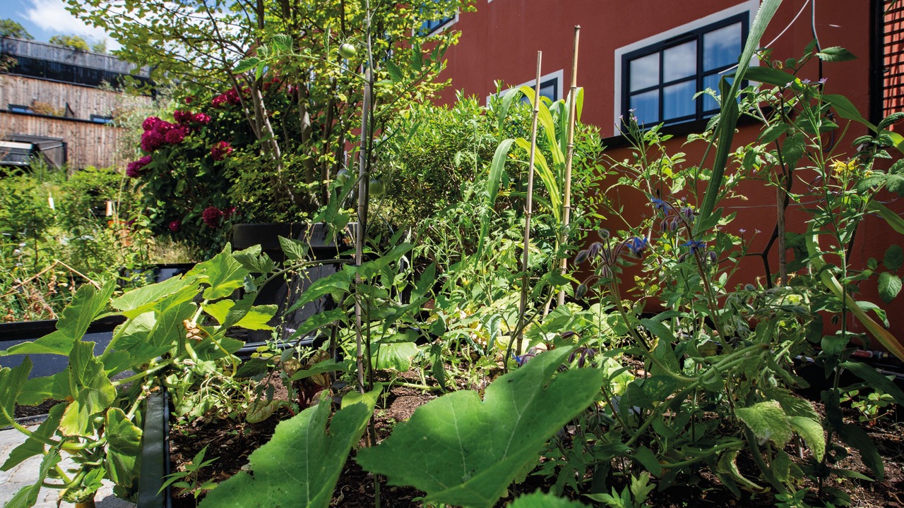 Photo of Outdoor in Les Puces de Saint-Ouen