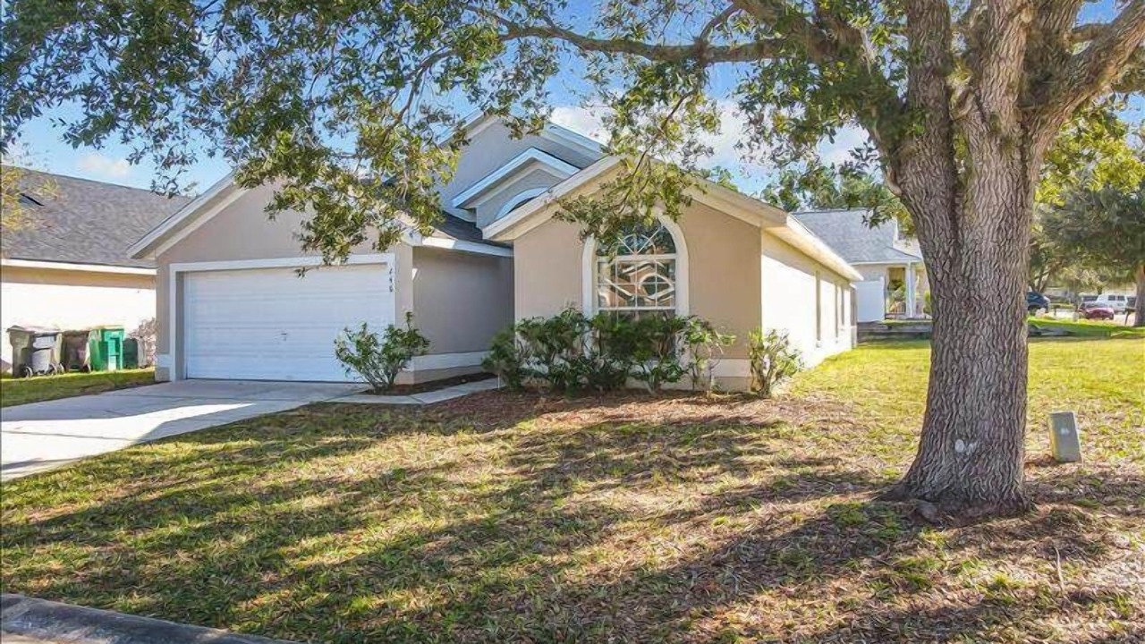 Photo of Outdoor in Florida Pines