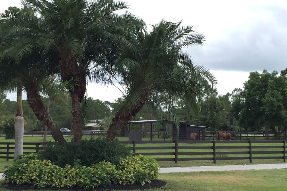 Photo of Others in Palm City