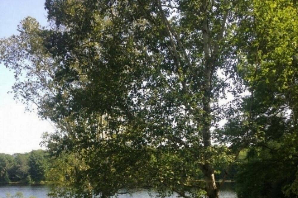 Photo of Outdoor in Seguin