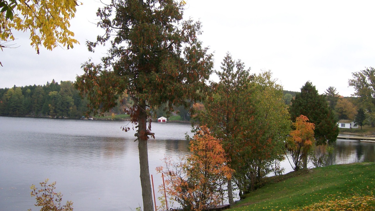 Photo of Outdoor in Port Loring