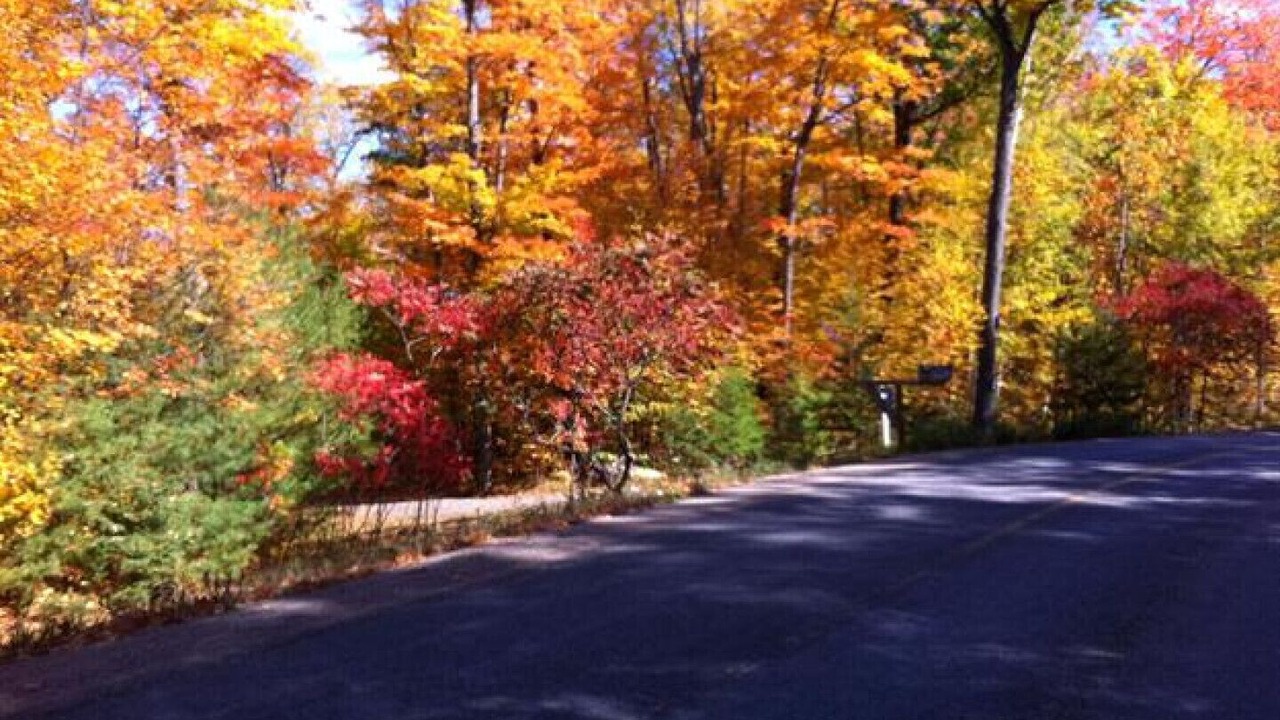 Photo of Outdoor in Port Loring