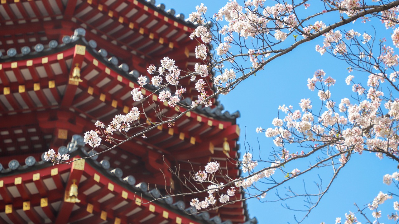 Photo of Outdoor in Tonomachi