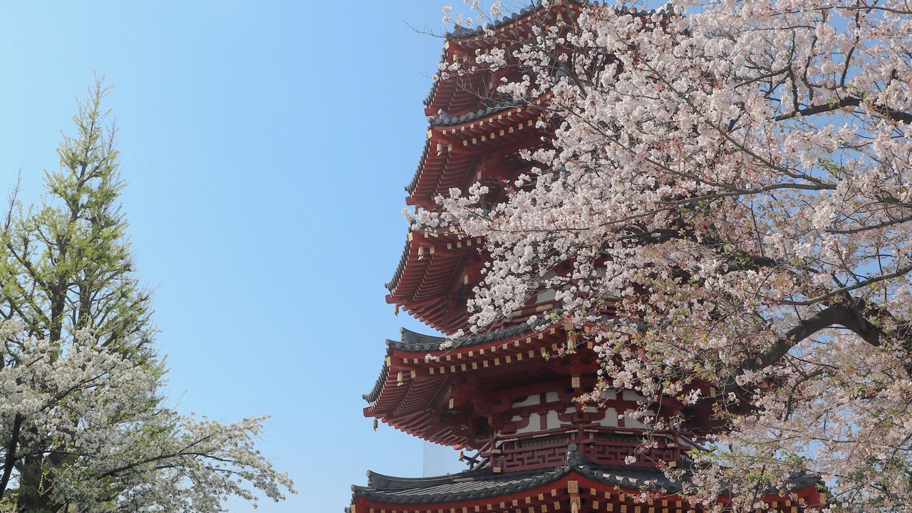 Photo of Others in Tonomachi