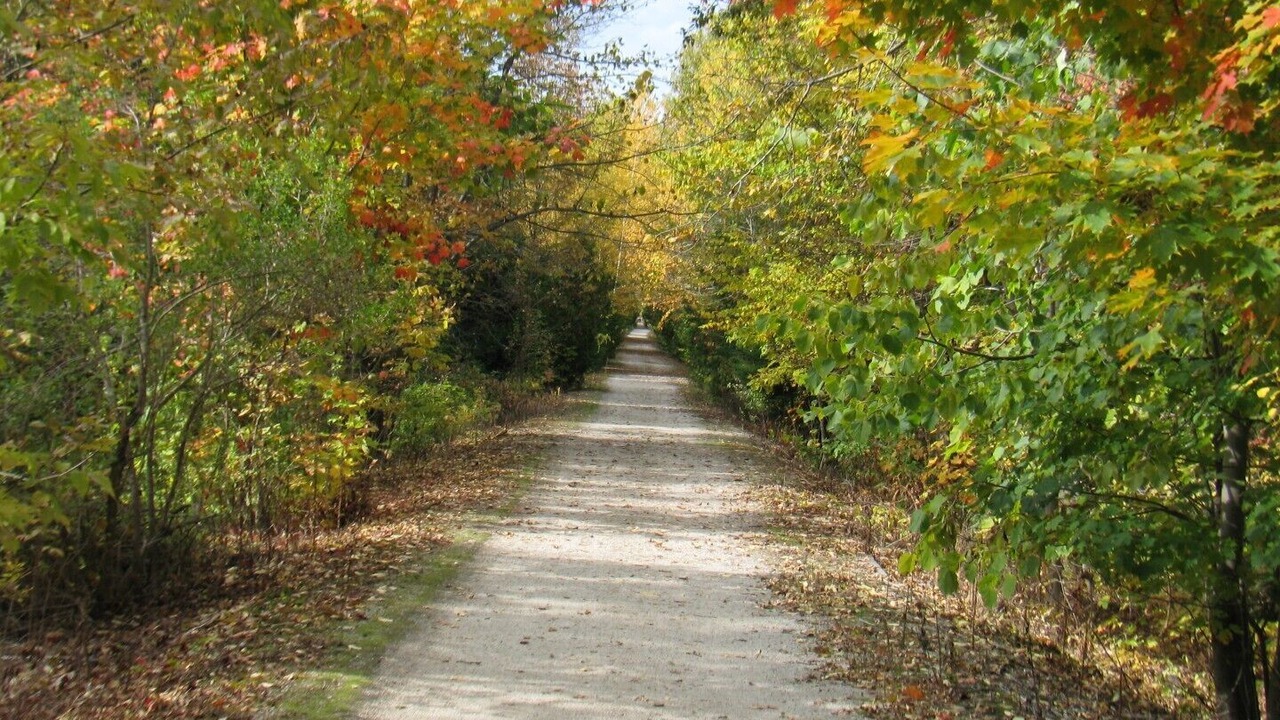 Photo of Outdoor in The Blue Mountains