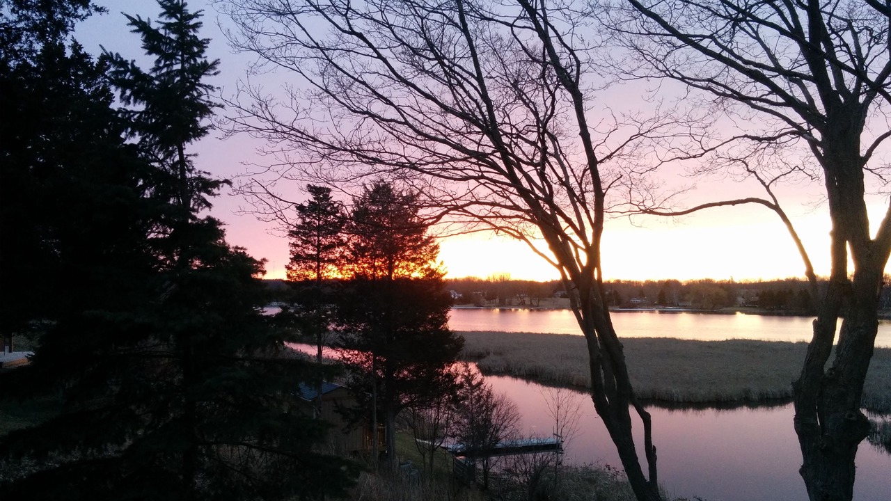 Photo of Outdoor in Picton