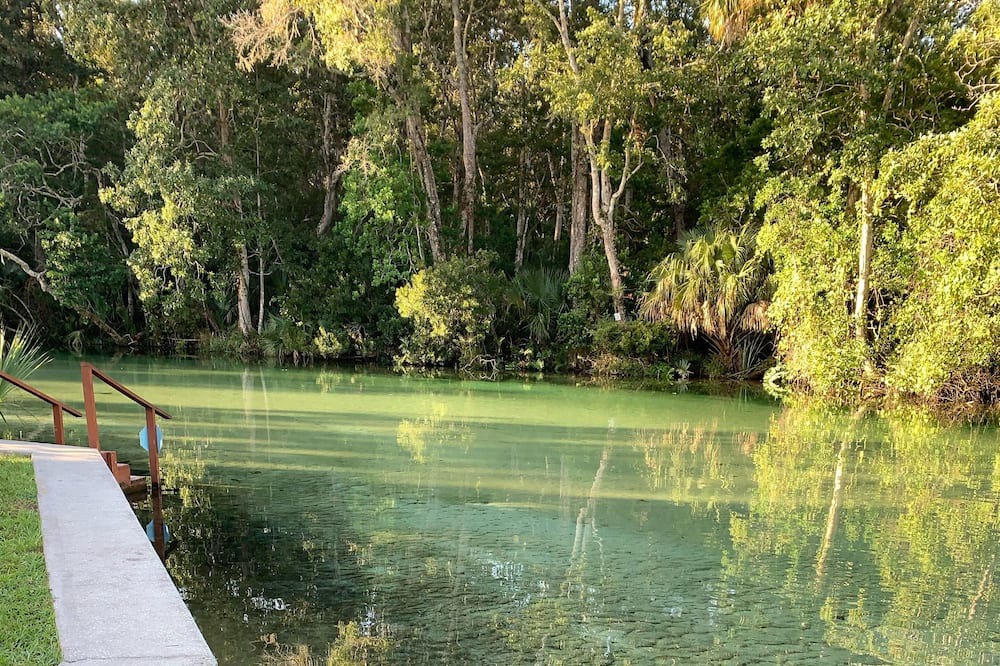 Photo of Others in Weeki Wachee Gardens