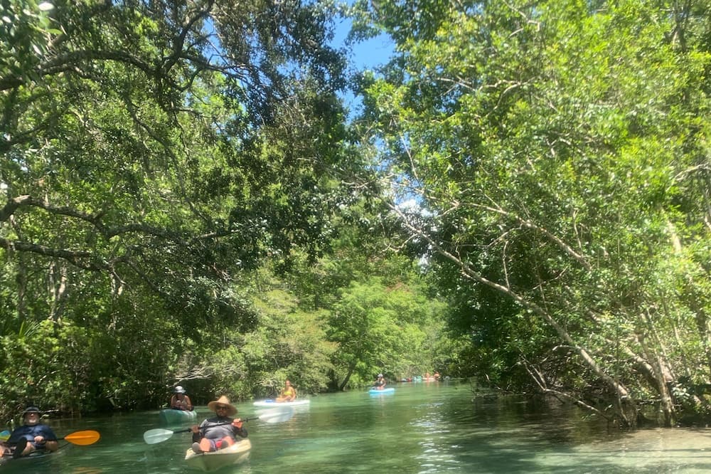 Photo of Others in Weeki Wachee Gardens