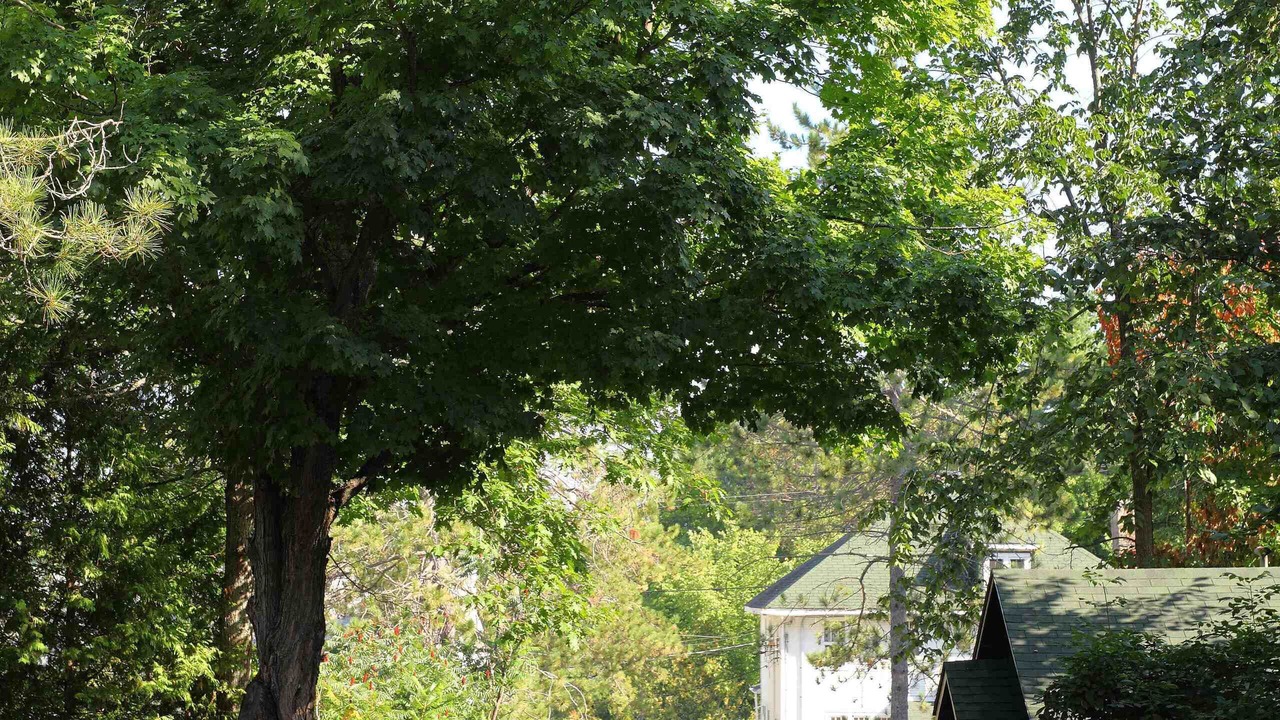 Photo of Outdoor in Minden Hills