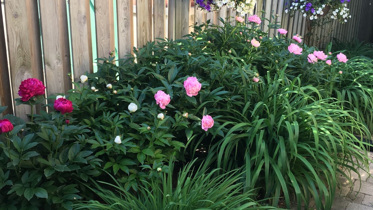 Photo of Outdoor in Stratford