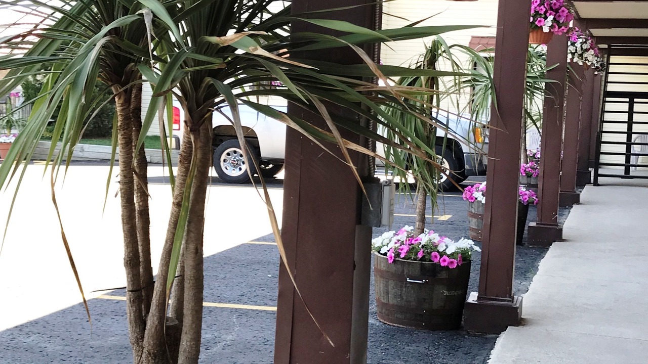 Photo of Outdoor in Listowel