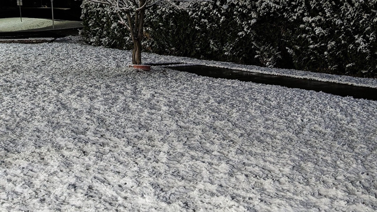 Photo of Outdoor in Bracebridge