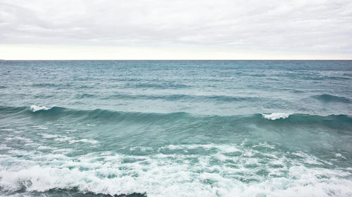 Photo of Others in Wellington