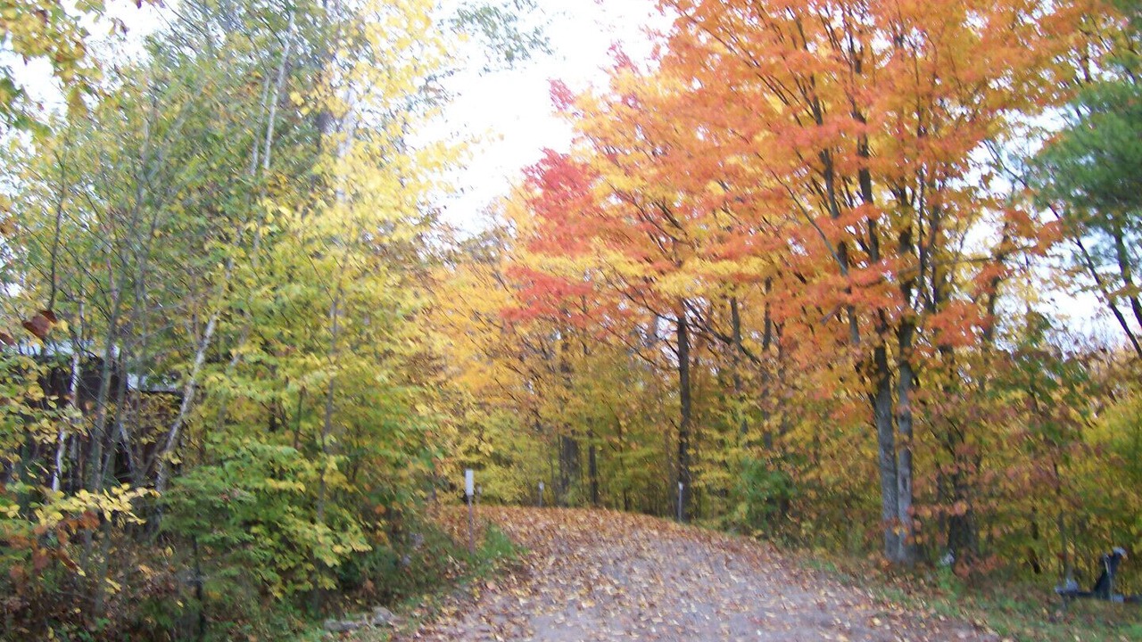 Photo of Outdoor in Port Loring