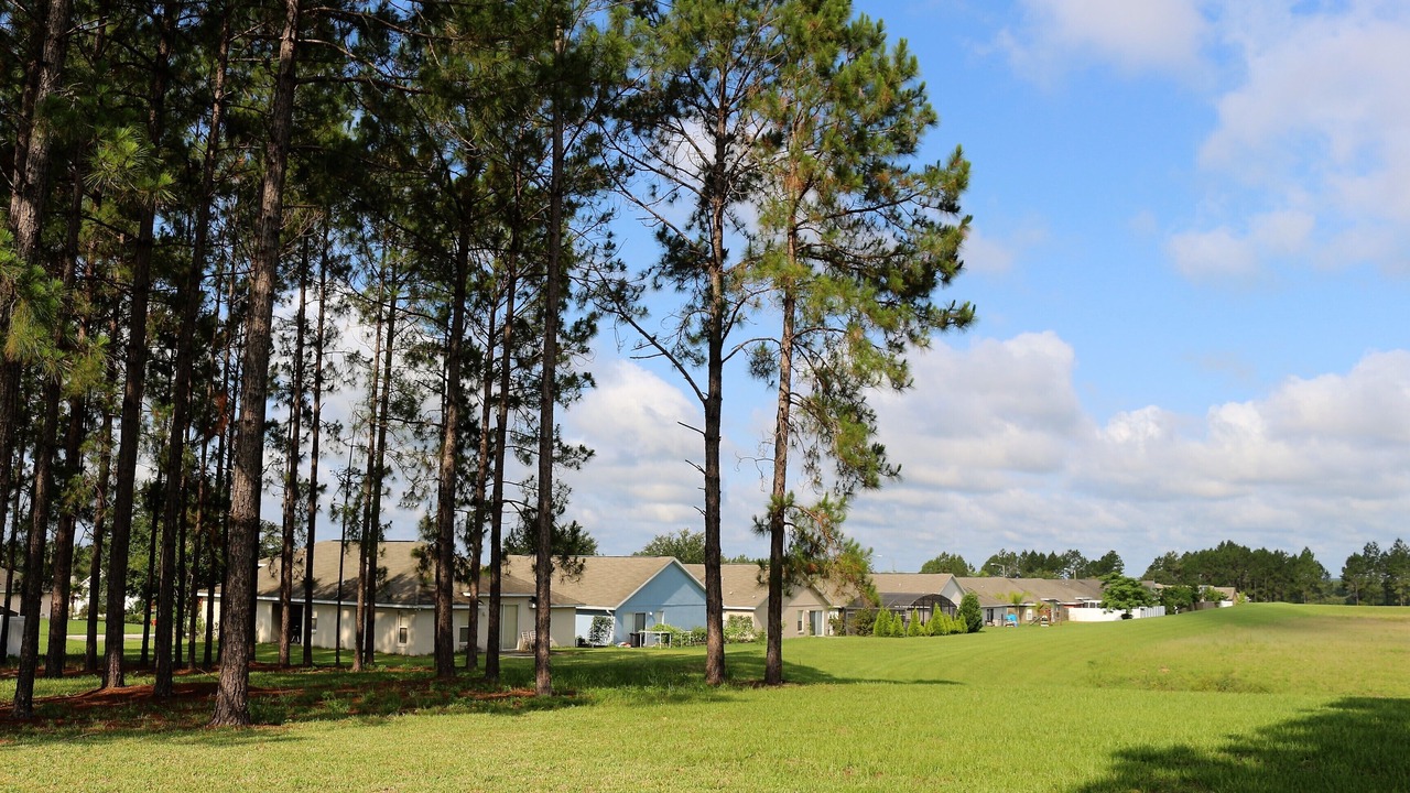 Photo of Outdoor in Florida Pines