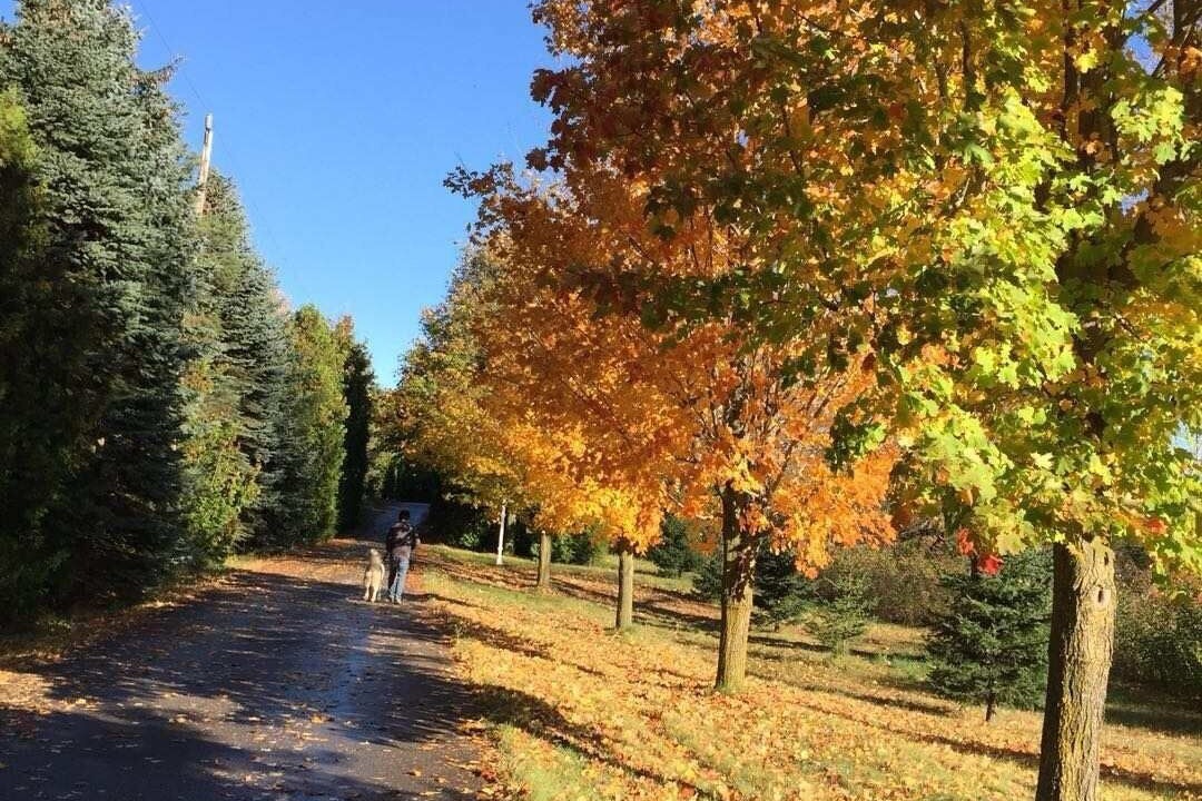 Photo of Outdoor in York Regional Municipality