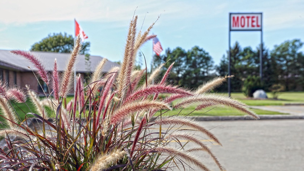 Photo of Outdoor in Palmerston