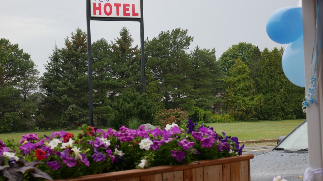 Photo of Outdoor in Palmerston