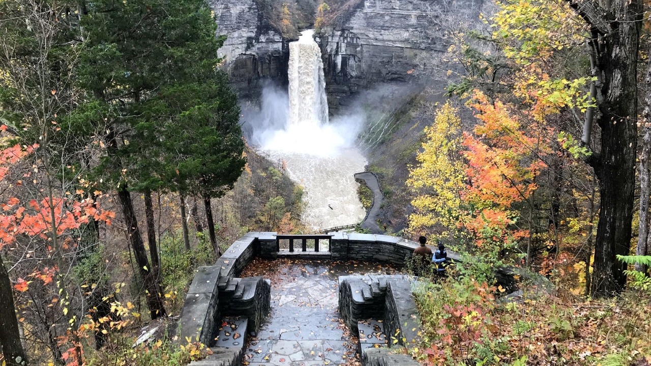 Photo of Outdoor in Trumansburg