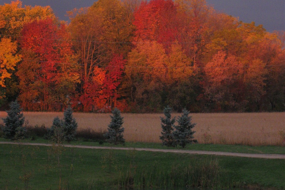 Photo of Outdoor in Hamilton