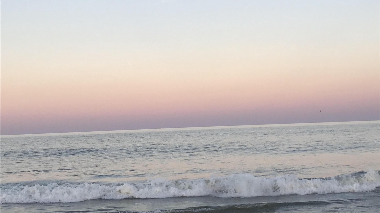 Photo of Others in Rehoboth by the Sea
