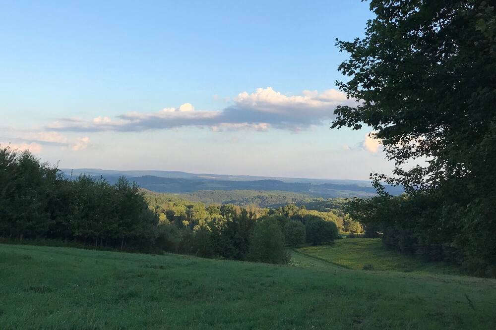 Photo of Others in Curwensville