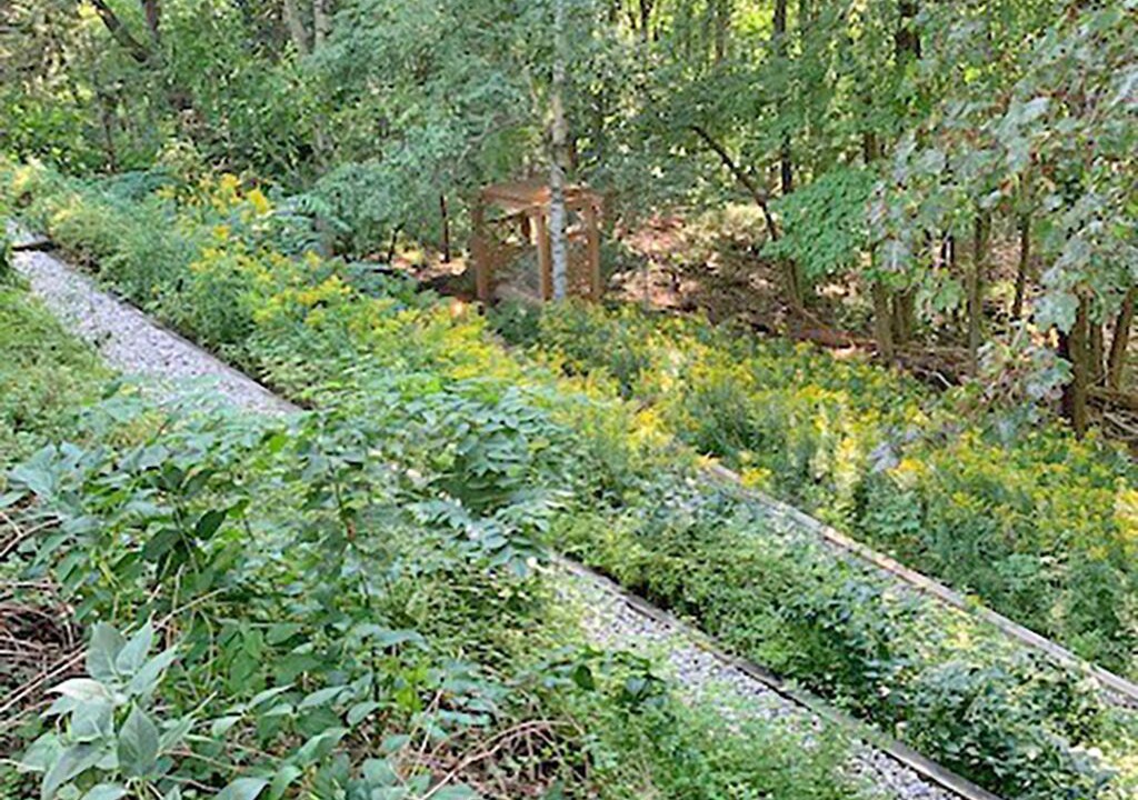 Photo of Outdoor in Henry Farm
