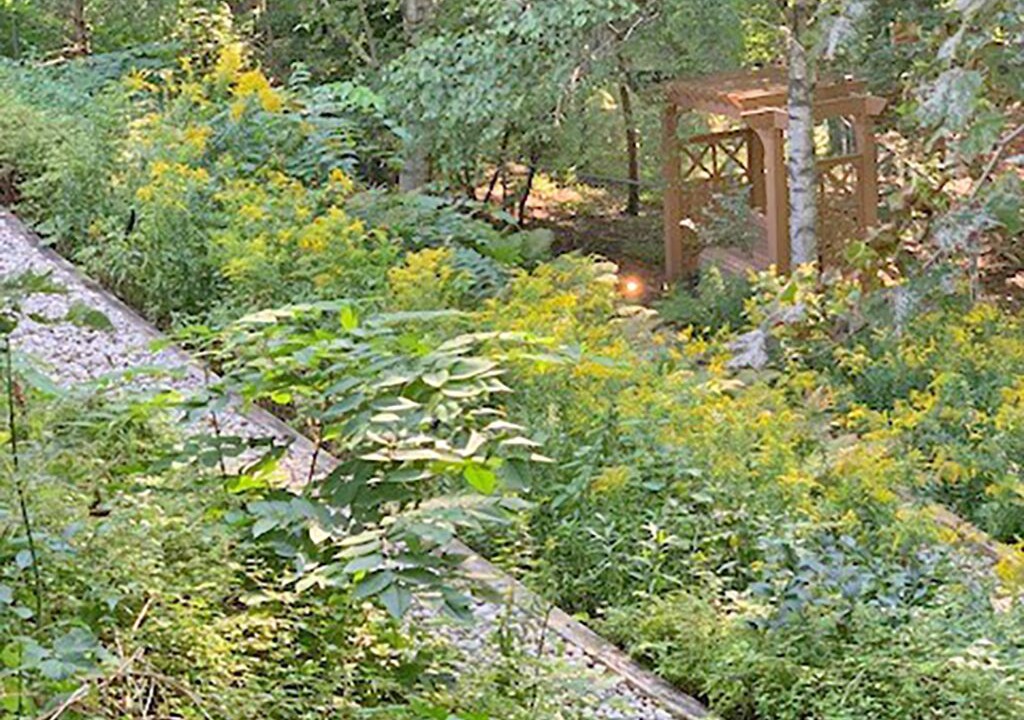 Photo of Outdoor in Henry Farm