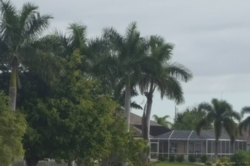 Photo of Others in White Marsh