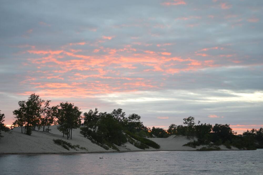 Photo of Others in Picton