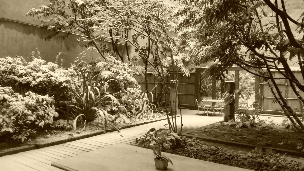 Photo of Outdoor in Les Iles