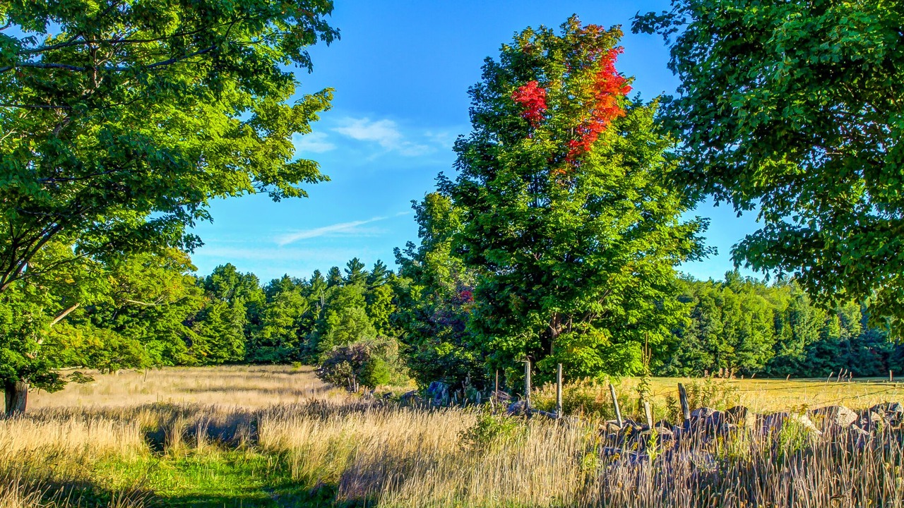 Photo of Outdoor in The Blue Mountains
