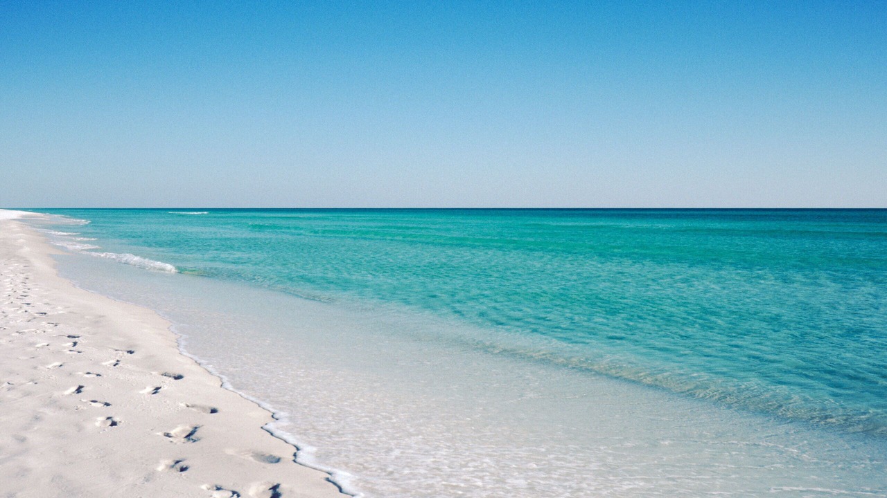 Photo of Others in Indian River Shores