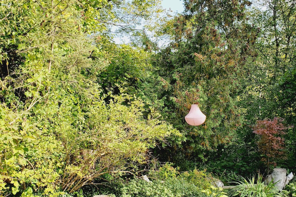 Photo of Outdoor in Bendale