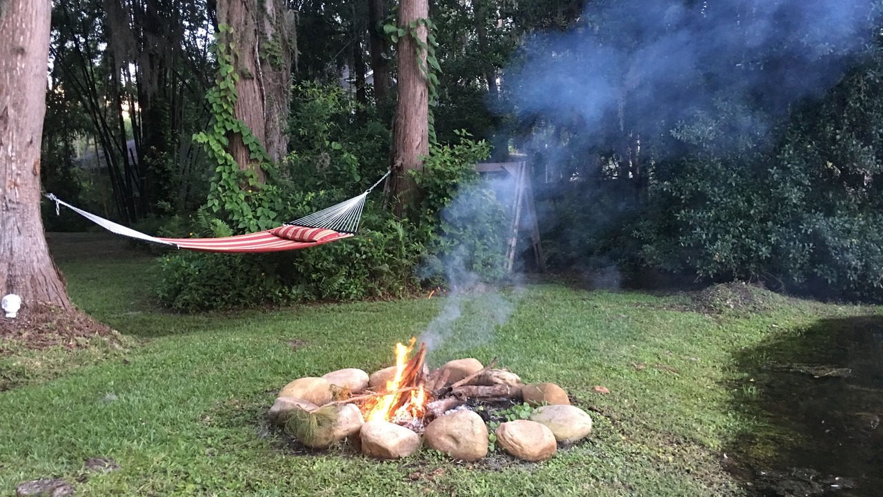 Photo of Outdoor in Lutz