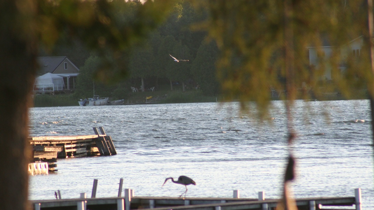 Photo of Others in Northern Bruce Peninsula