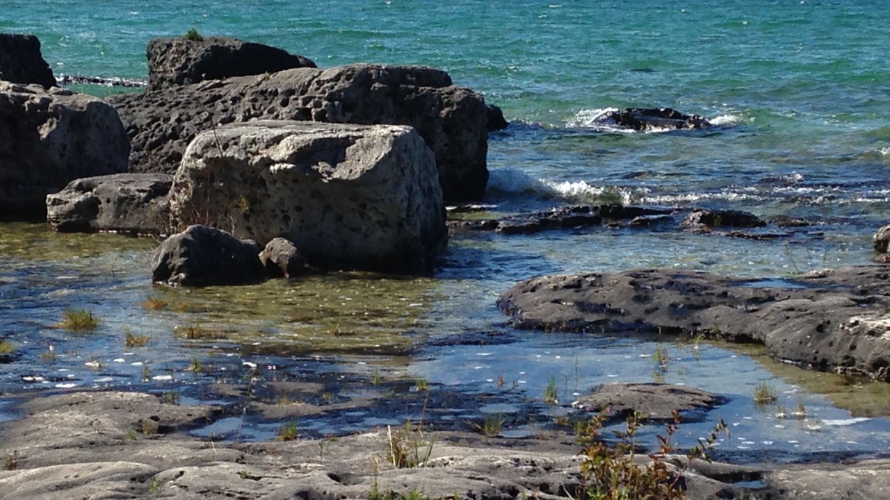 Photo of Others in Northern Bruce Peninsula