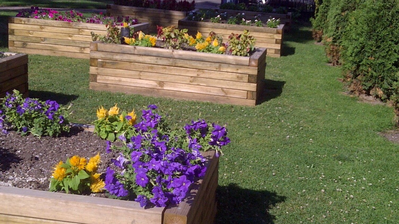 Photo of Outdoor in Cabbagetown