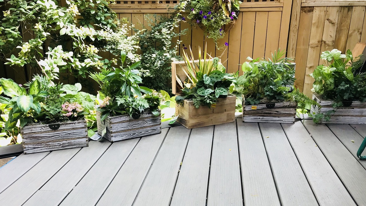 Photo of Outdoor in Cabbagetown