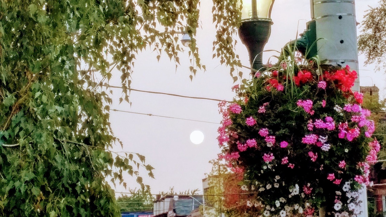 Photo of Outdoor in Cabbagetown